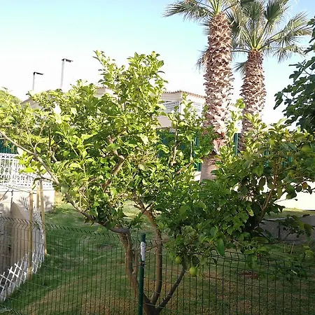 Birre Piscina Cascais